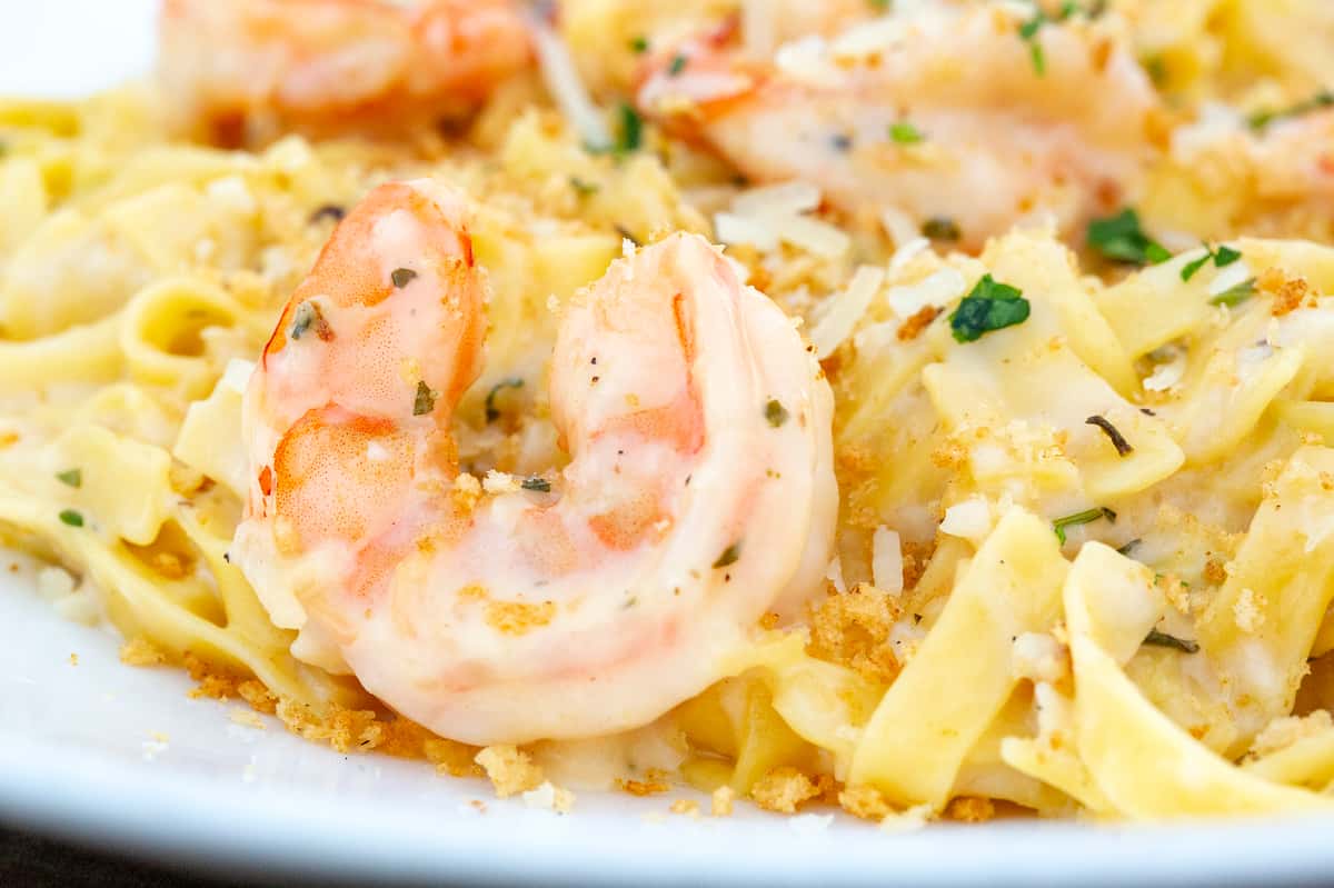 shrimp scampi