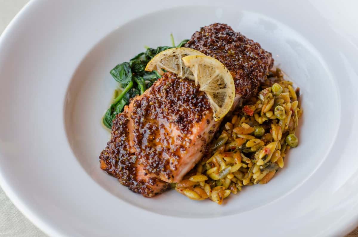 salmon
