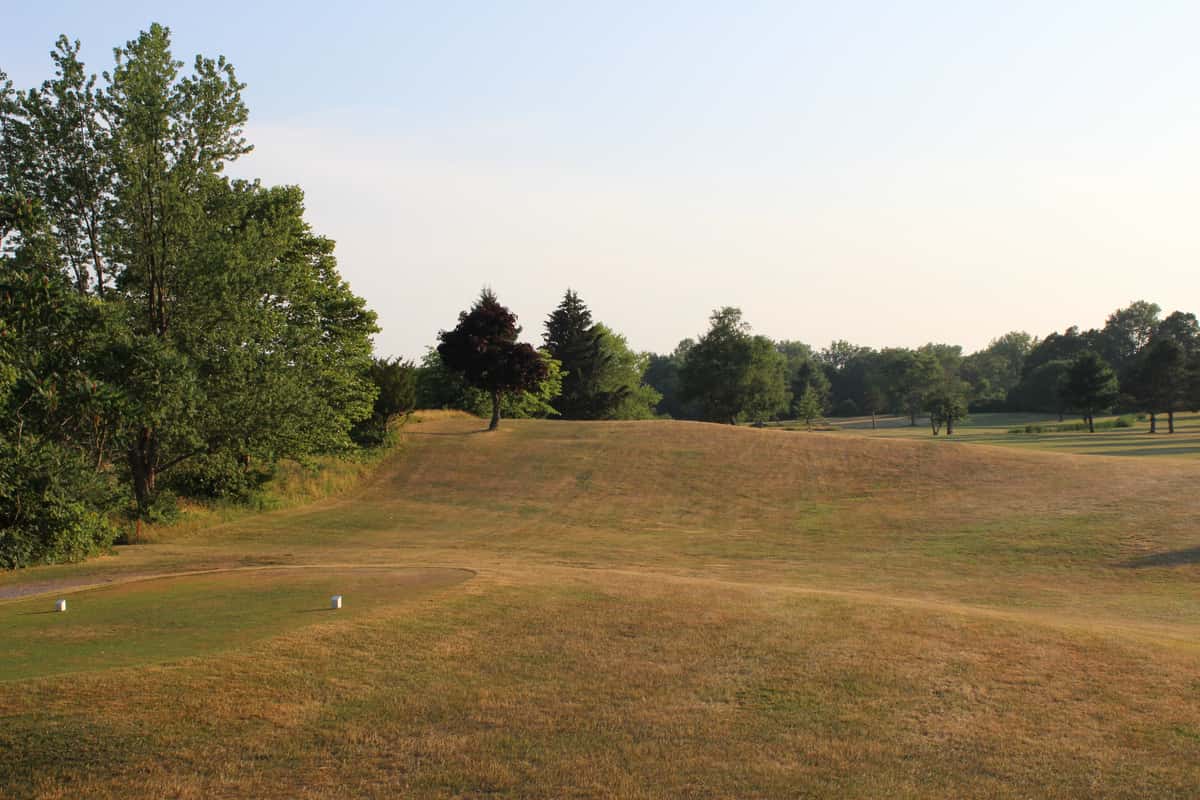 View of hole 6