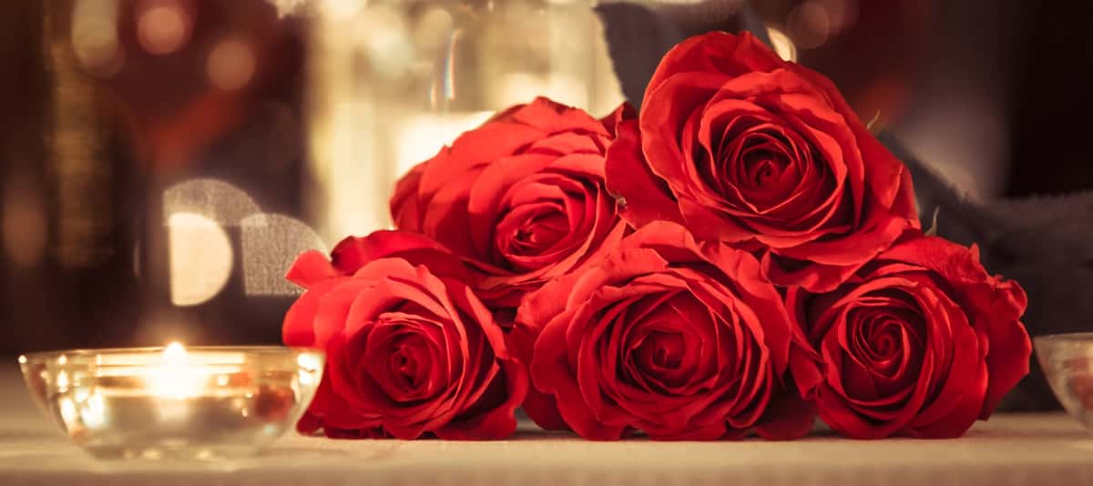 Valentine's Day