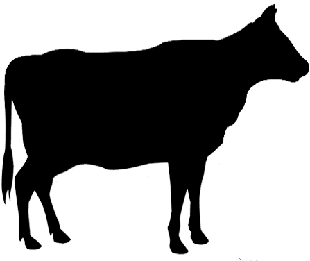 cow