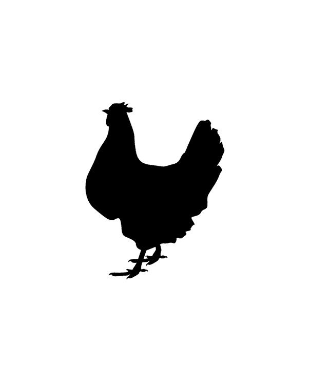 chicken