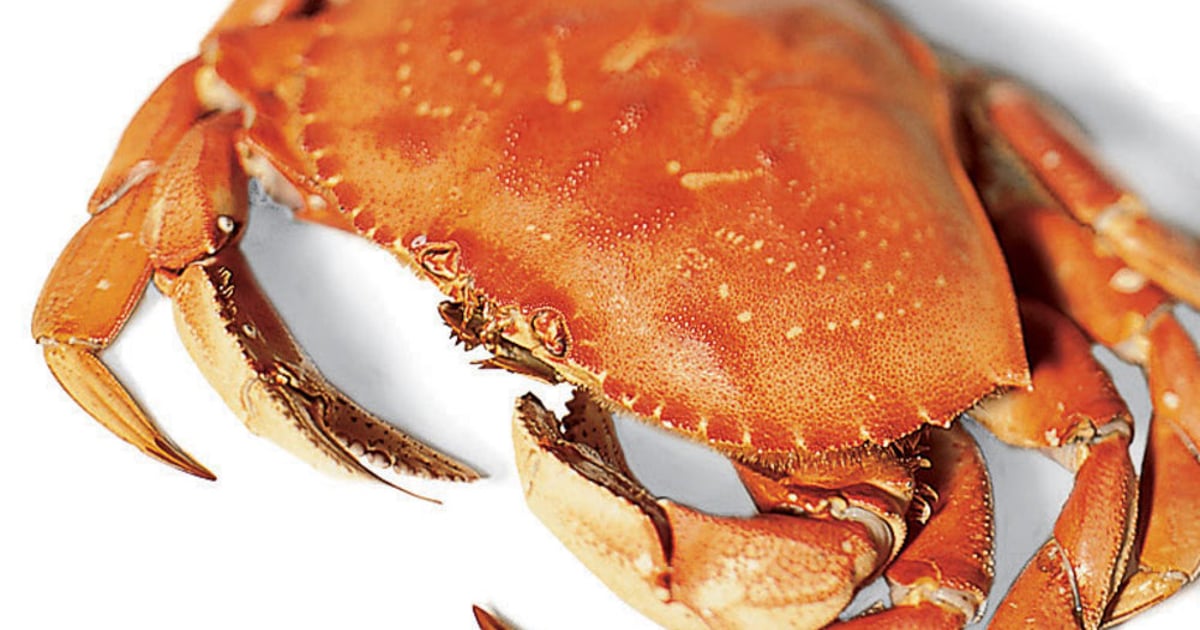 Dungeness Crab Menu Crab Fever San Diego