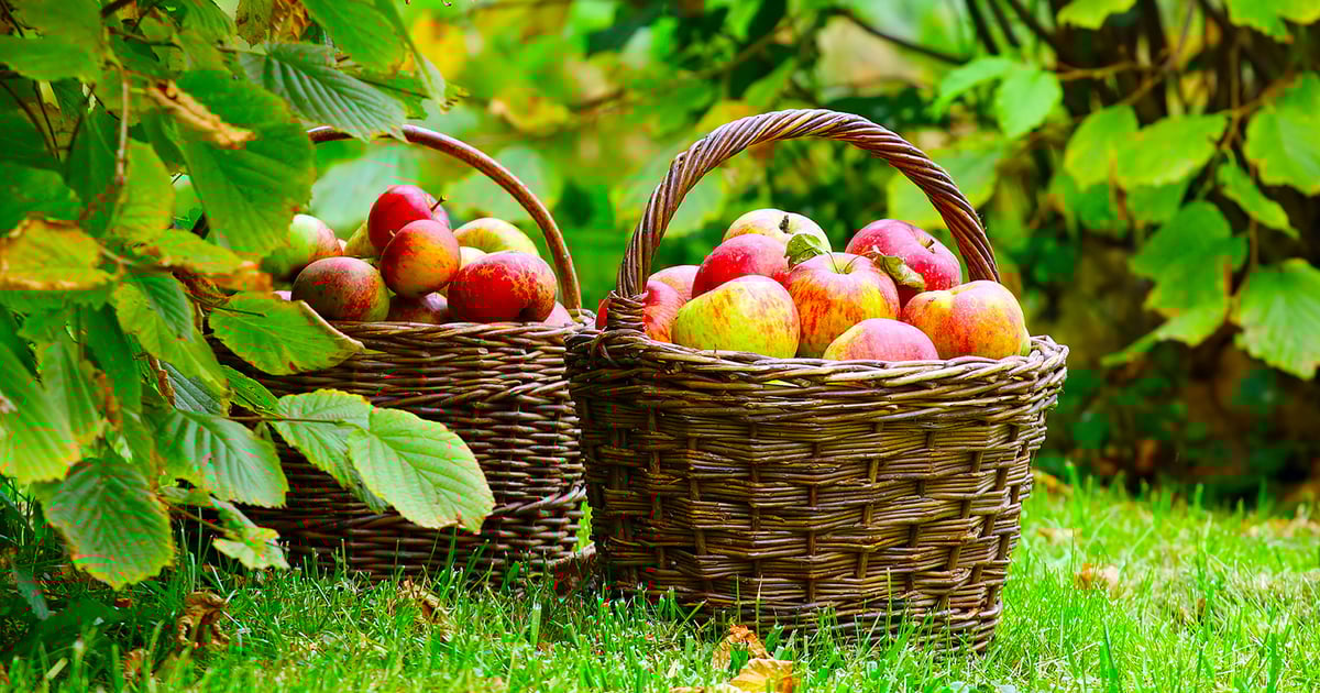Cover's Apple Ranch Restaurant in Tuolumne, CA