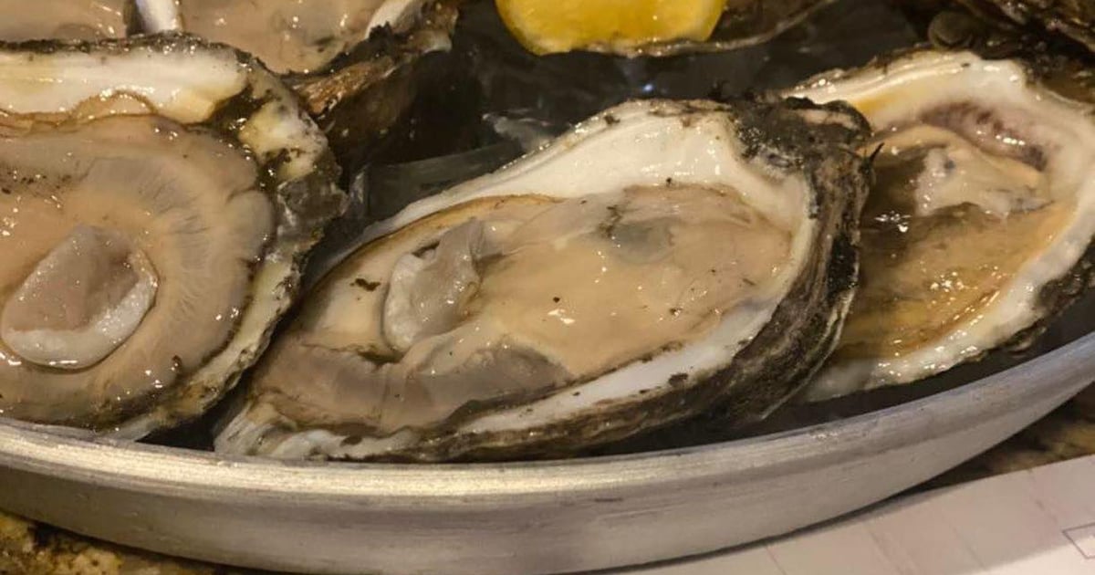 Oysters On The Half Shell Main St Marys Seafood & More Seafood Restaurant