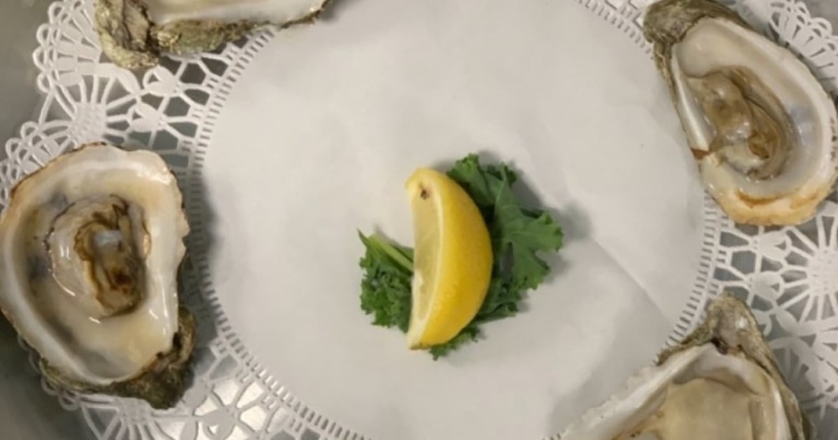 Oysters On The Half Shell Main St Marys Seafood & More Seafood