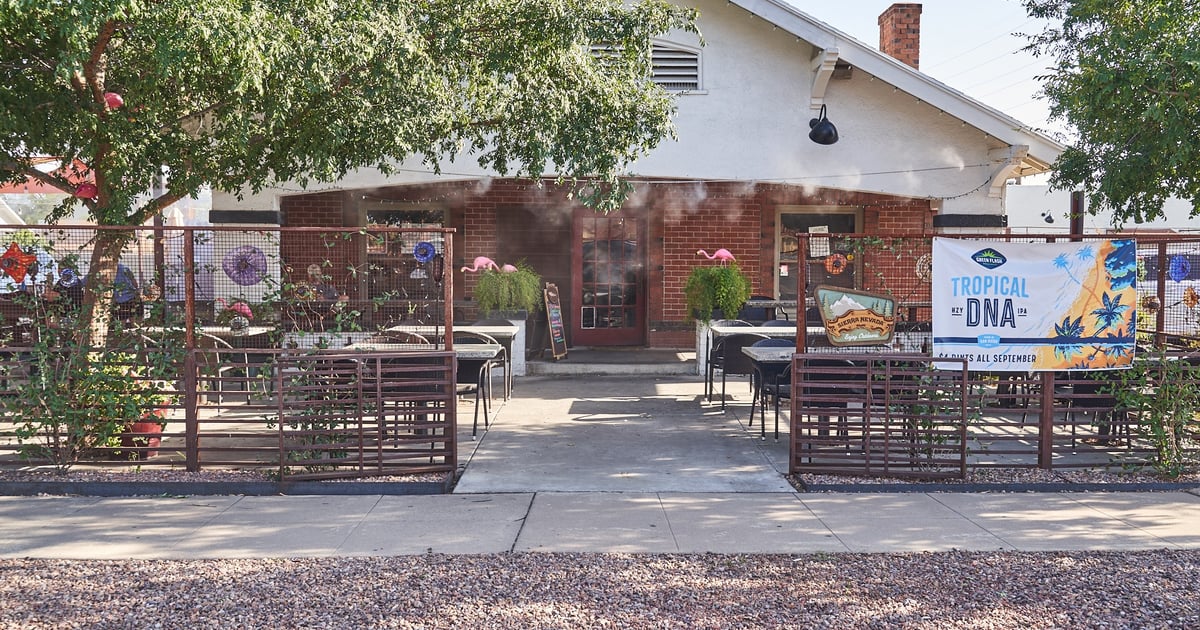 The Jive Turkey - The Main Ingredient - Bar in Phoenix, AZ