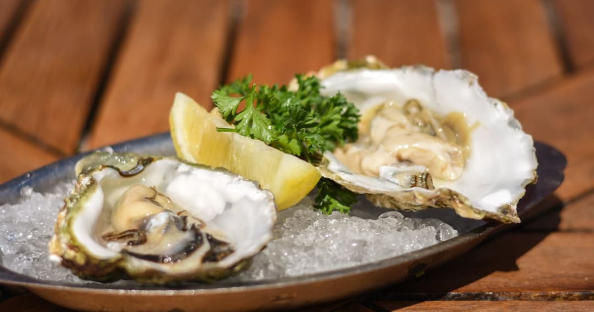 Raw Oysters Happy Hour Water's Edge Restaurant and Bar