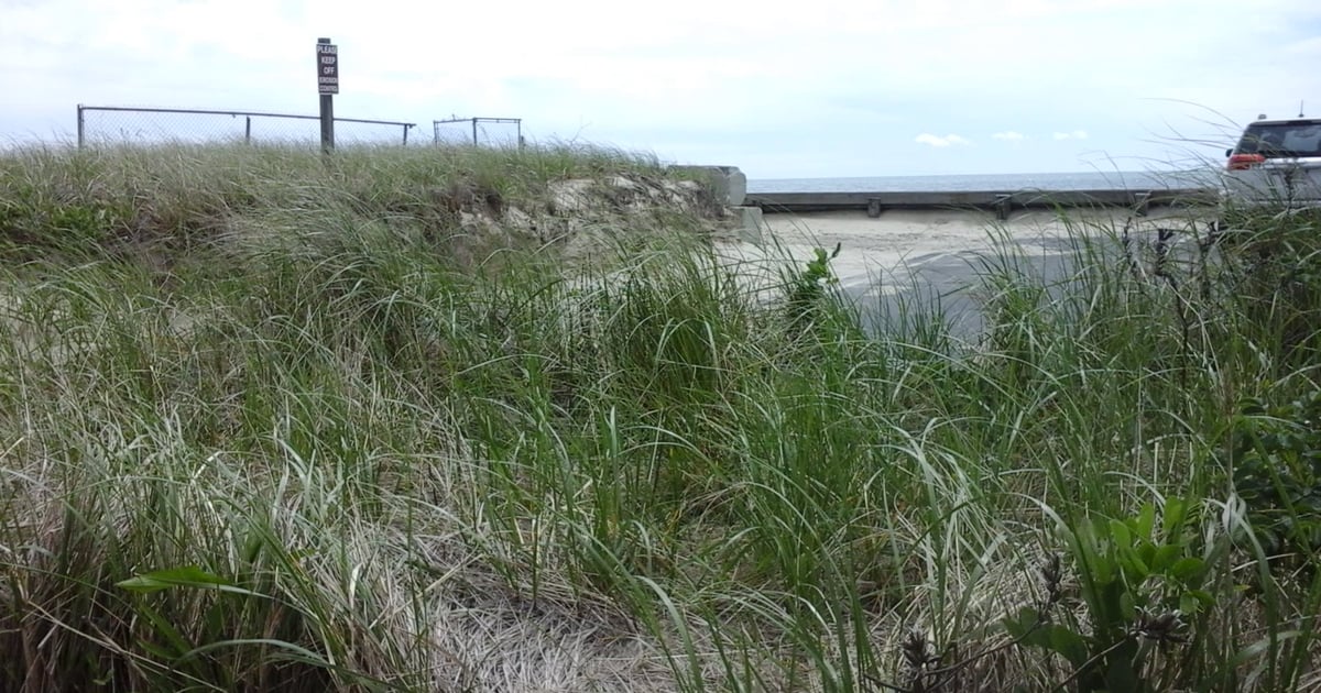 Beach Hour The Sailing Cow American Restaurant in Dennisport, MA