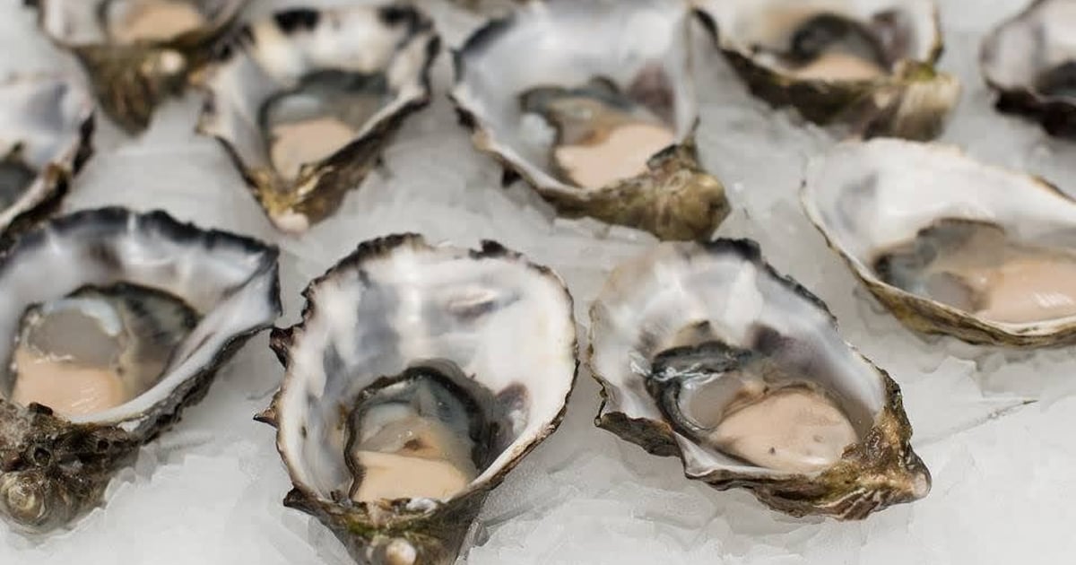 1/2 Priced Oysters Beach Hour The Sailing Cow American Restaurant