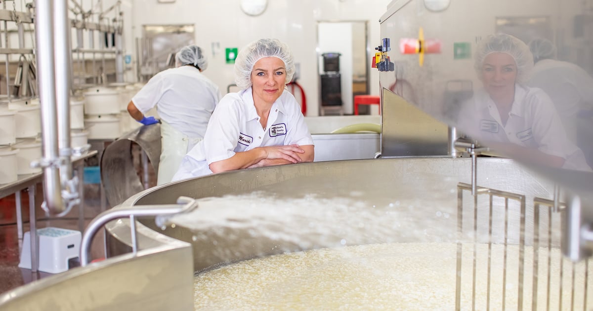 About Marieke Gouda Wisconsin Cheese, Farm, Store, and Cafe in Thorp, WI