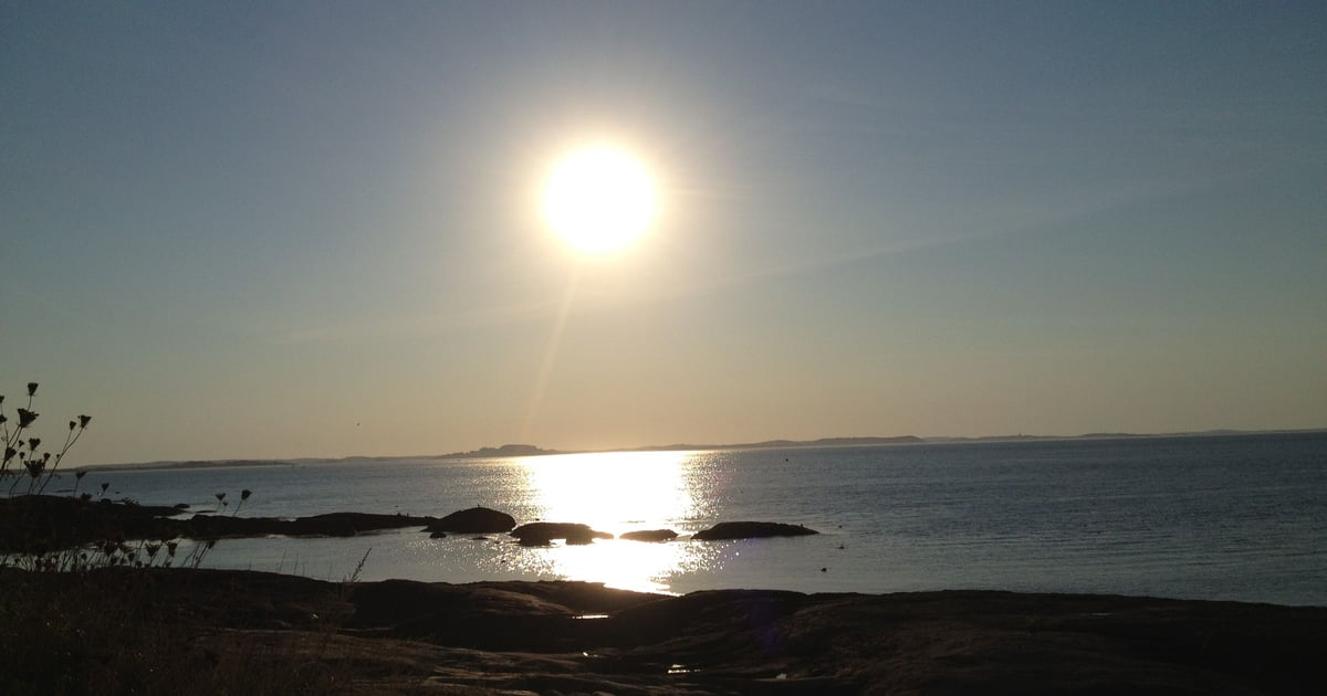 Scenic Lanesville Cove Cafe Cafe In Gloucester Ma