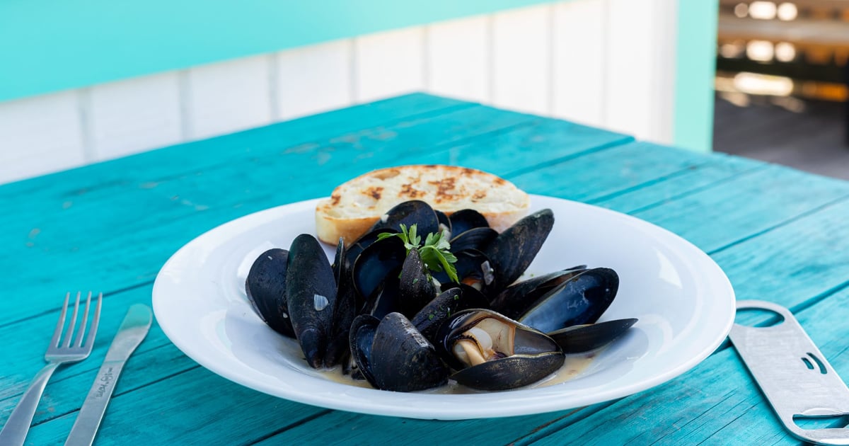 Our Menu Salt Island Fish and Beer Seafood Restaurant in Tybee