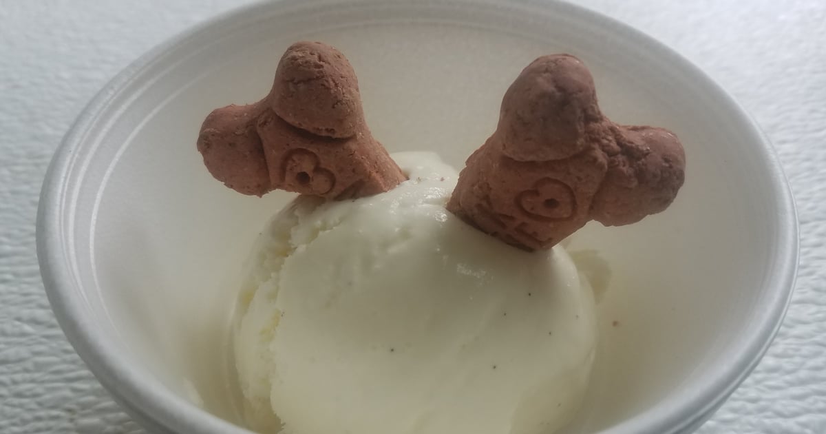Doggie Ice Cream Creamery The Apple Place Bakery in East