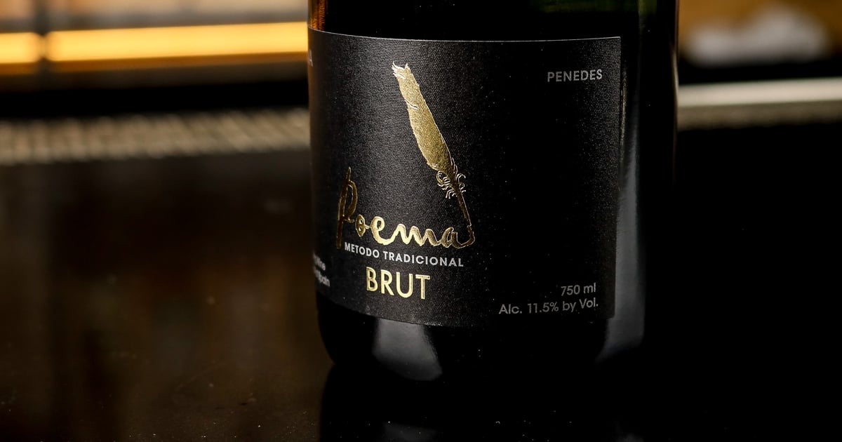 Poema Cava Brut Wines by the Glass BlackSheep Wine Bar & Merchant
