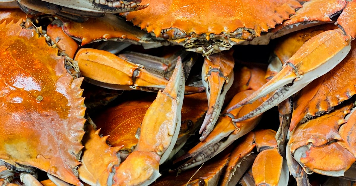 Louisiana Blue Crabs Main Menu Mandeville Seafood Market And Eatery