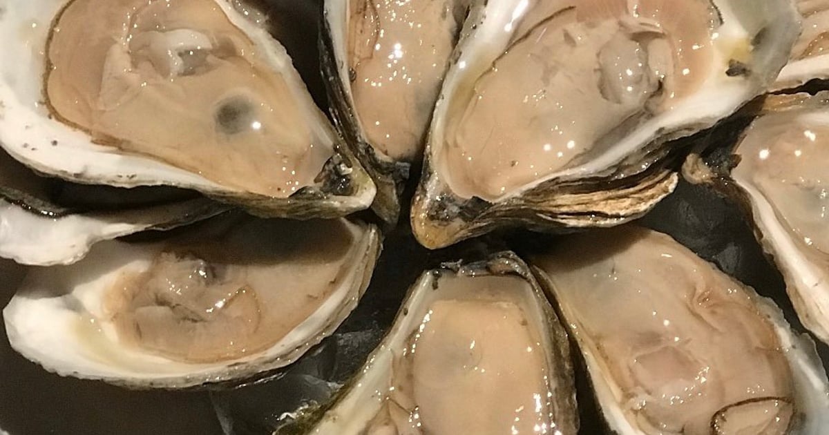 Oysters King Eider's Pub American Restaurant in Damariscotta, ME