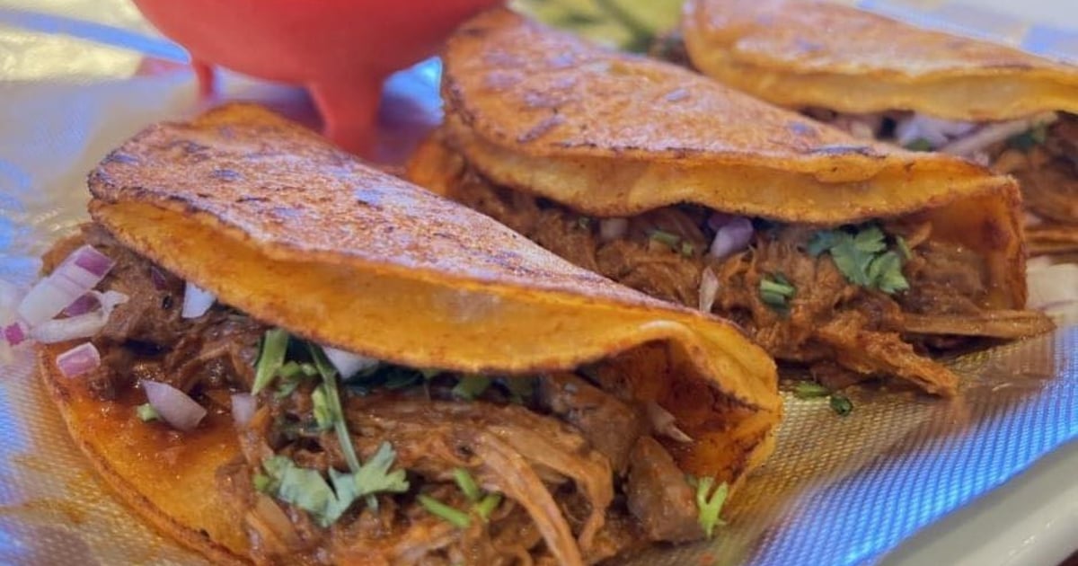 Birria Quesadilla Niles Menu Margarita King Mexican Grill & Cantina