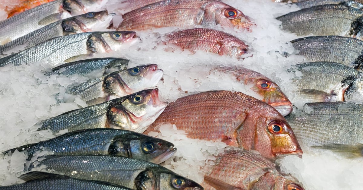 Fish Market Ray's Seafood Market Restaurant in Essex Junction, VT