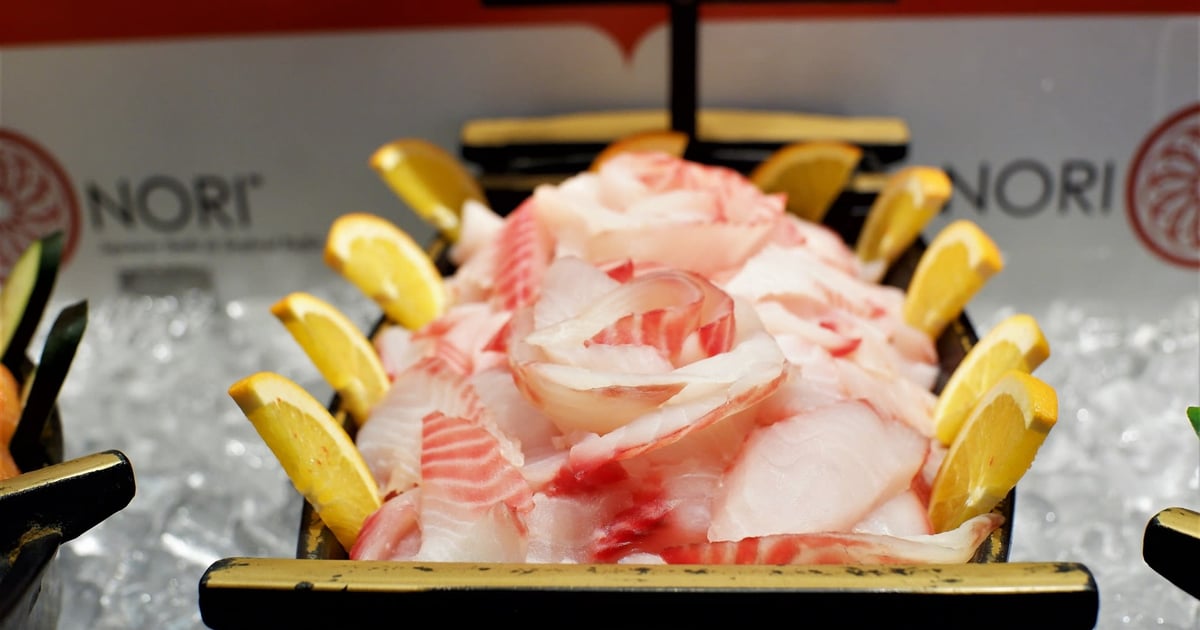 nori nori Nori Nori - Sushi Restaurant in Sandy Springs, GA