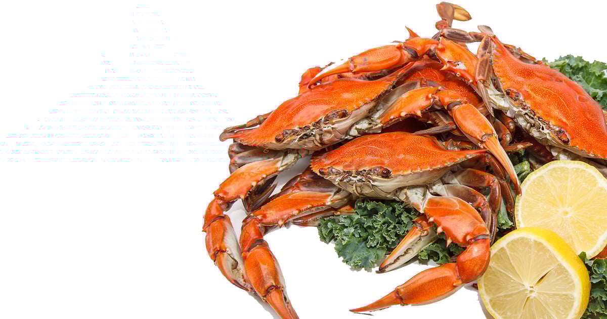 The Crab Truck and Seafood Stop Seafood Restaurant in Fallston, MD