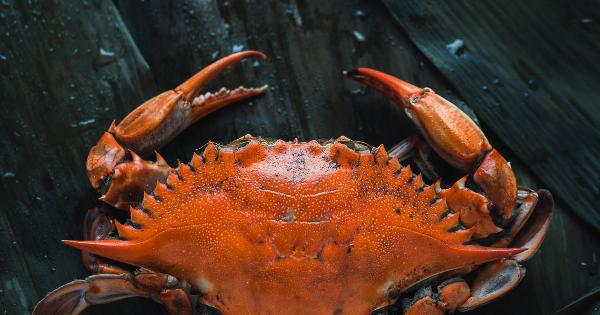 Mr Crab Boiling Seafood Seafood Restaurant in Reno, NV