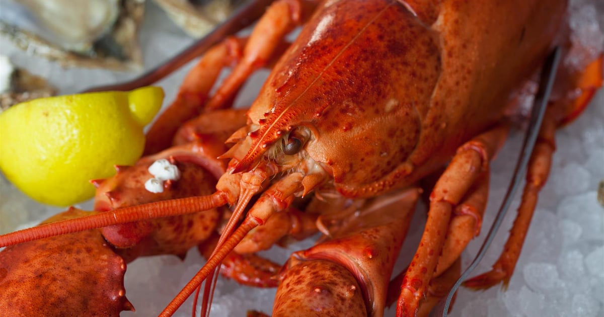 Private Events Fish Market Seafood Restaurant in Alexandria, VA