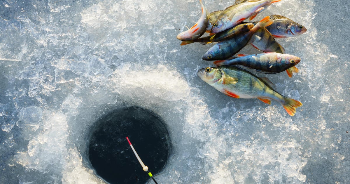 Ice Fishing Adventures - Temple Bay Lodge - Restaurant in Eagle River, ON