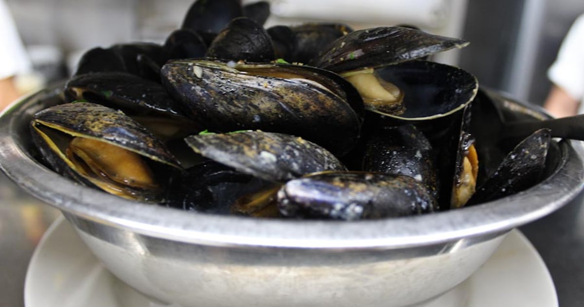 Bucket of Mussels - Dinner Menu - Popei's Clam Bar - Fish restaurant in ...