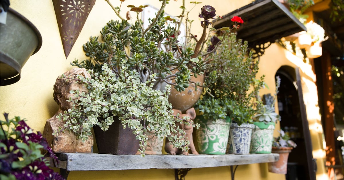 Contact Cafe Fiore Italian Restaurant in Ventura, CA