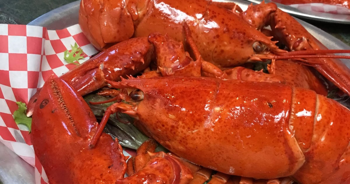 Steamed Maine Lobster Menu Lobster Cooker and Pub Seafood Restaurant in Freeport, ME