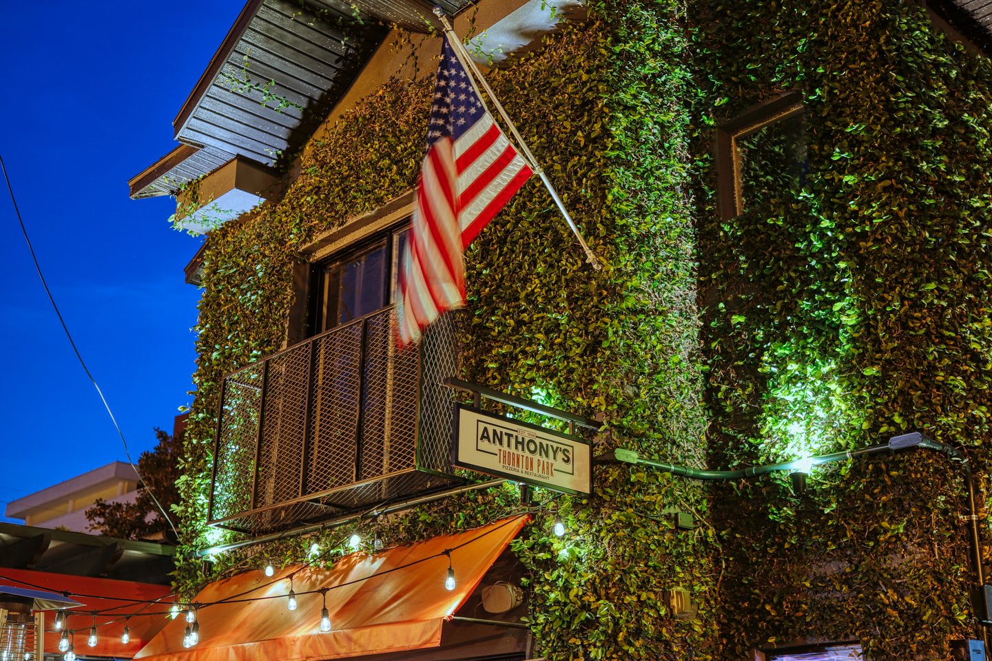 ivy wall