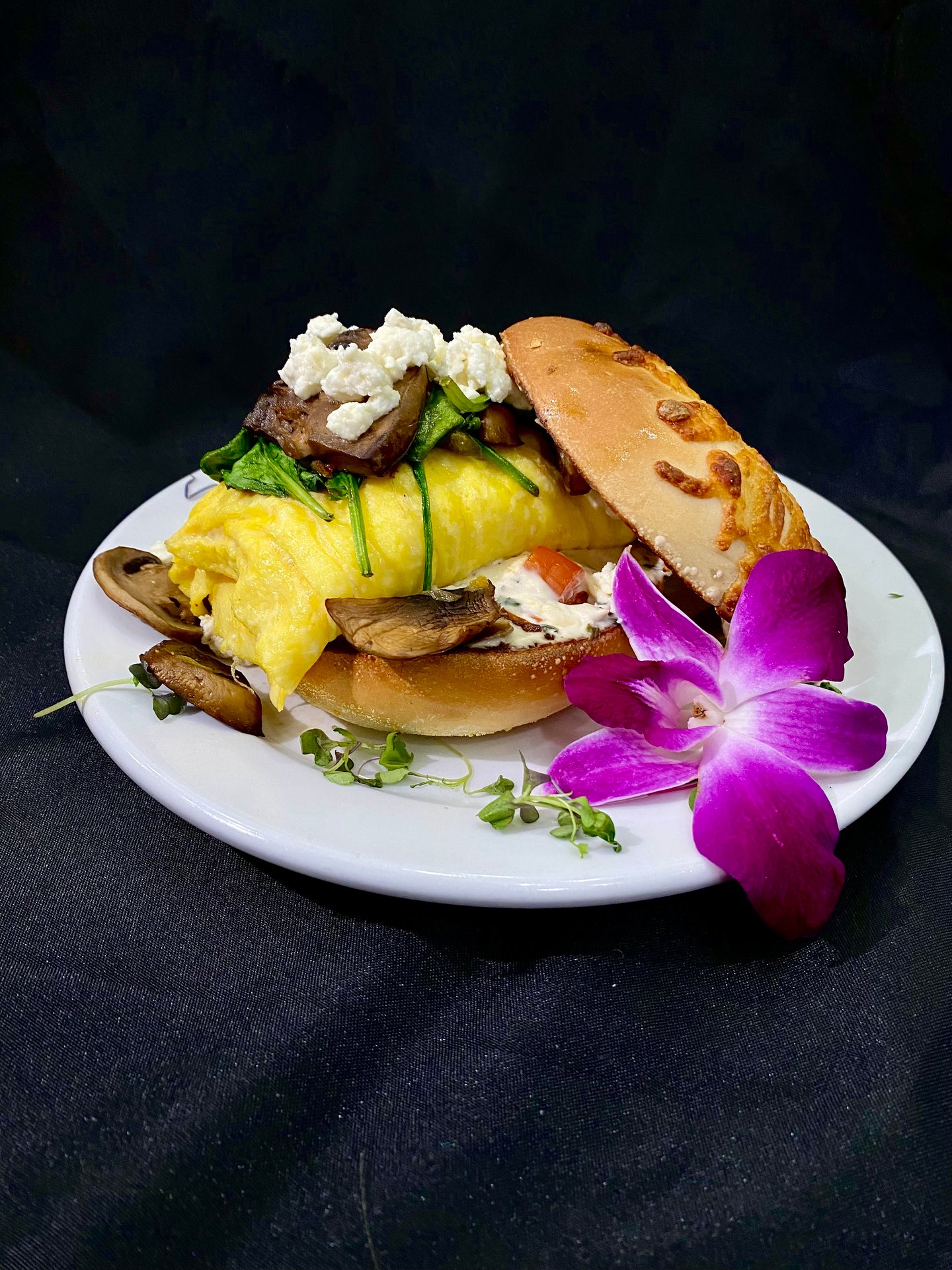Order Online - Bagel King - Bagel Shop in FL