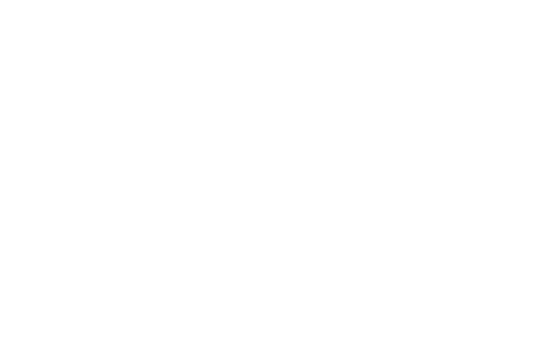 fan inspired