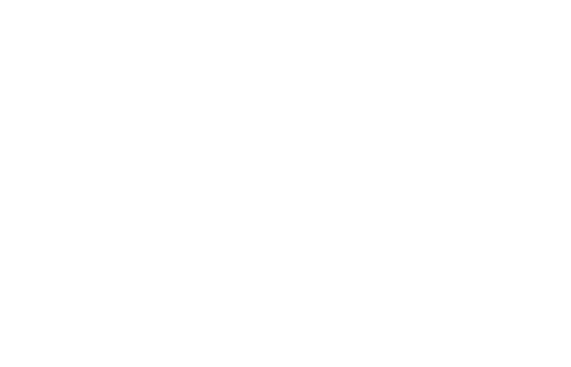 Mestizo Logo