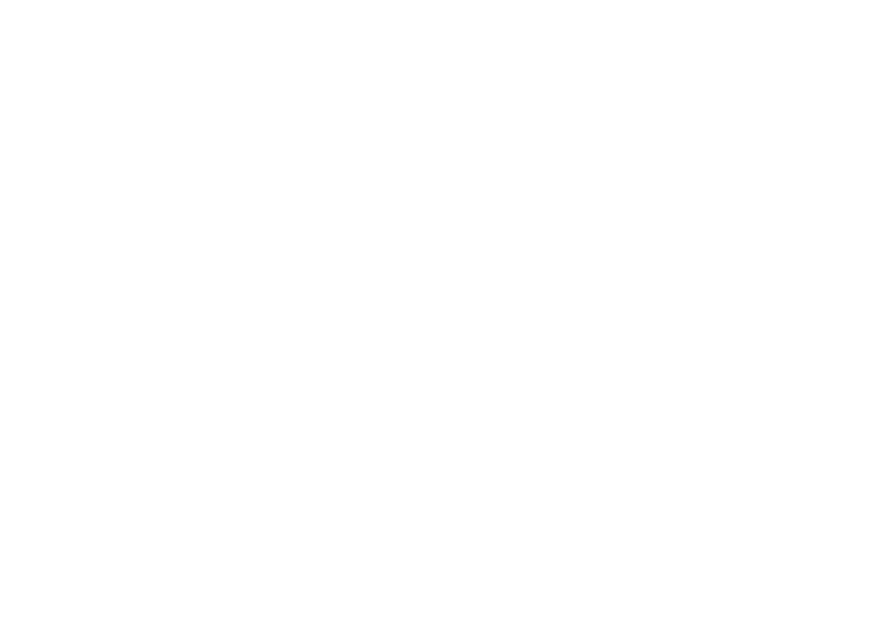 Next Level Brands Hospitality