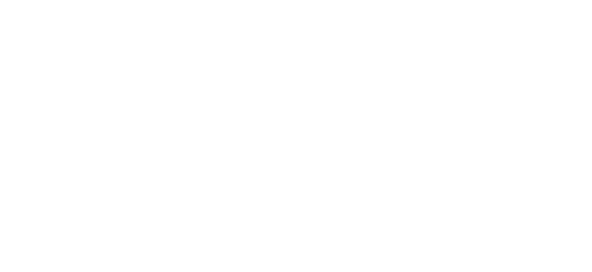 pitt boss white logo