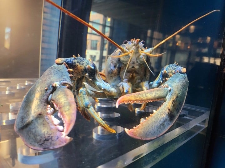 リリパットレーン　LOBSTER THE PIER Lilliput Lane - The Lobster Pot
