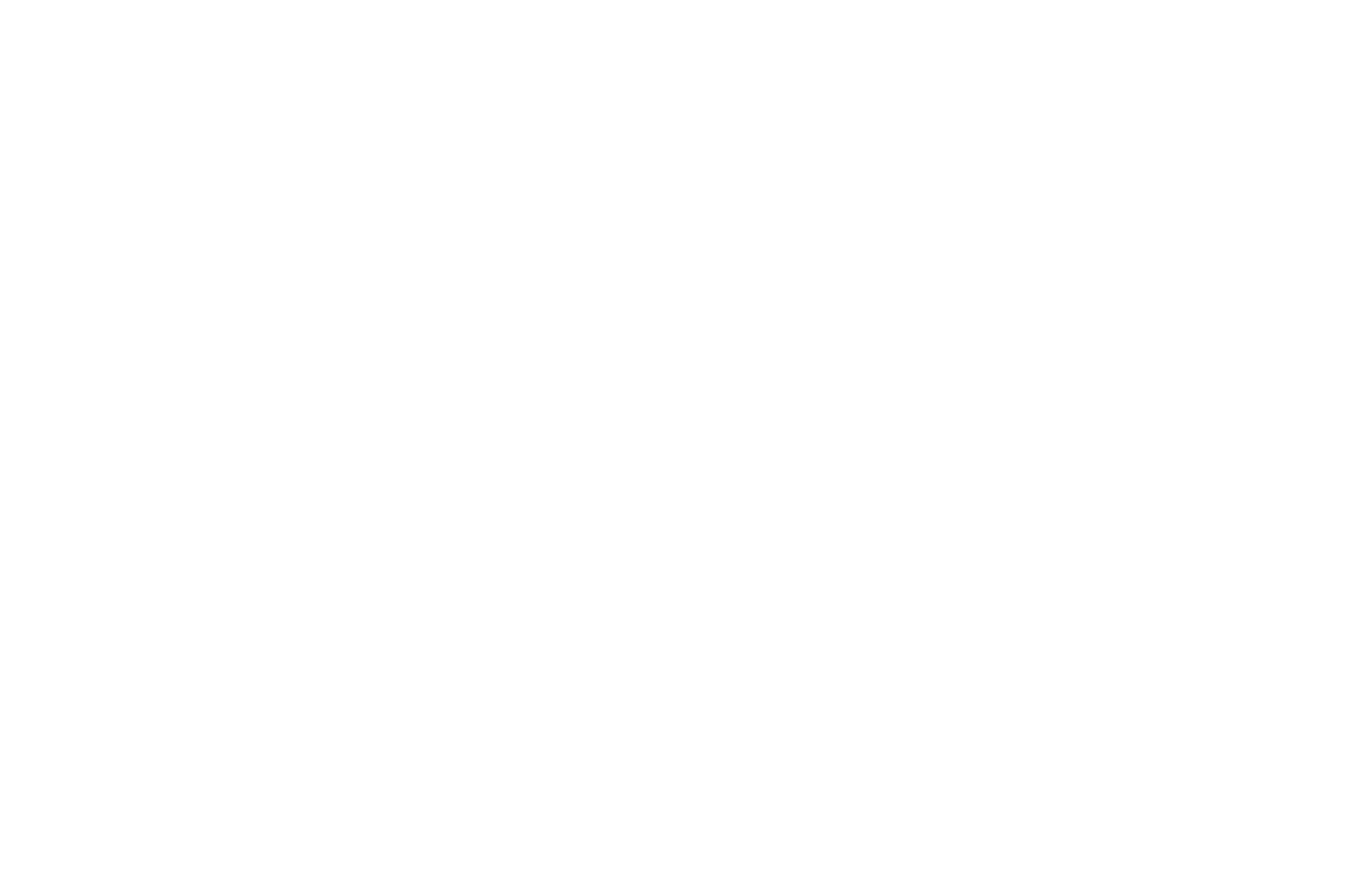 matties logo white