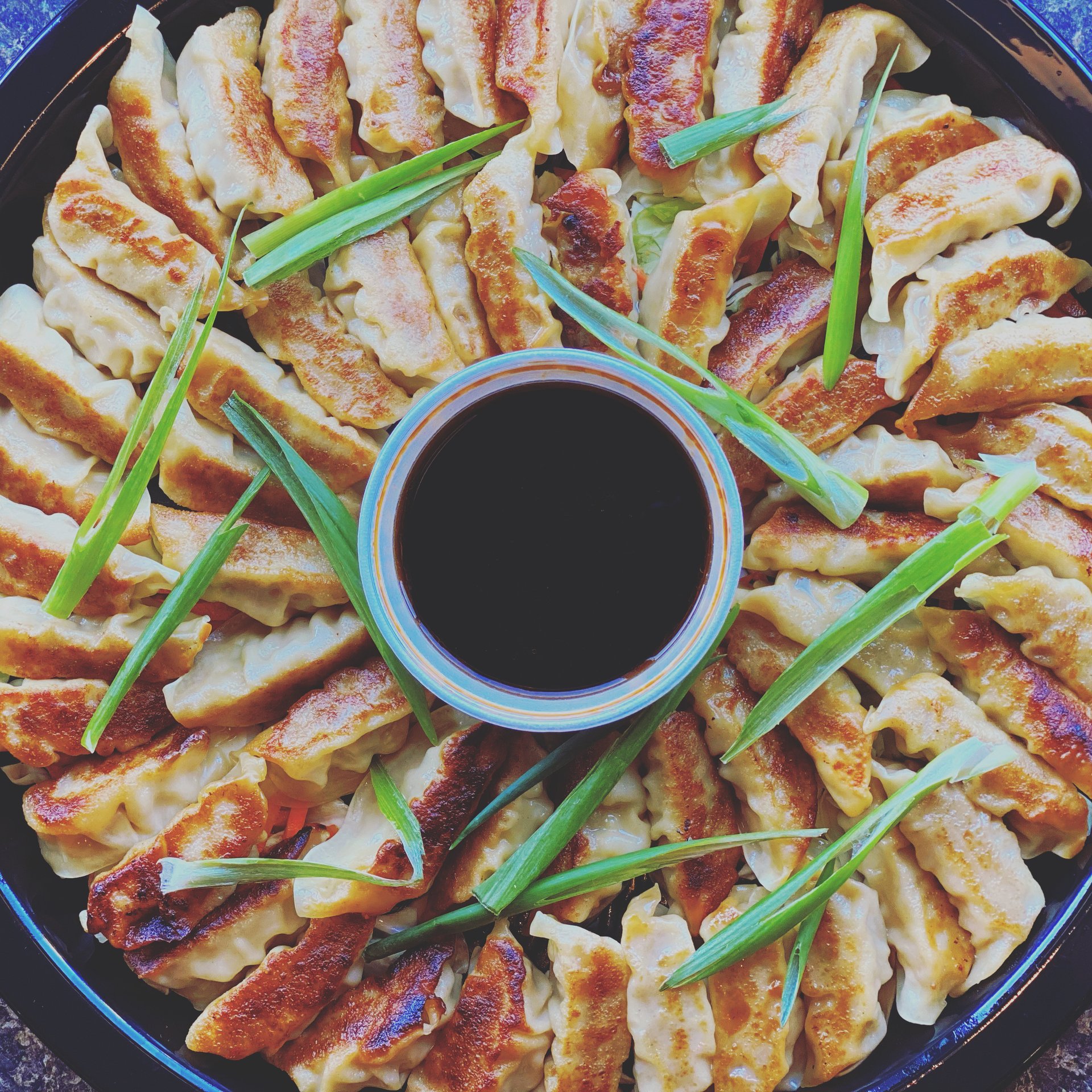 C1 Gyoza Tray (40 Pieces)