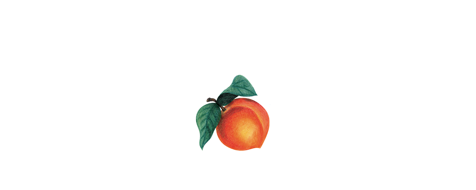 Welcome to Peach Valley Café - Breakfast & Lunch