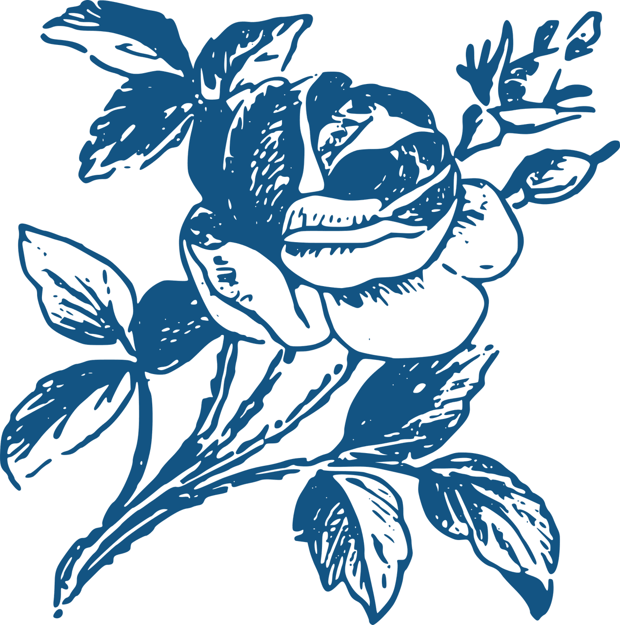 Raves Reviews Bz S Italian Kitchen Restaurant In Tucson Az