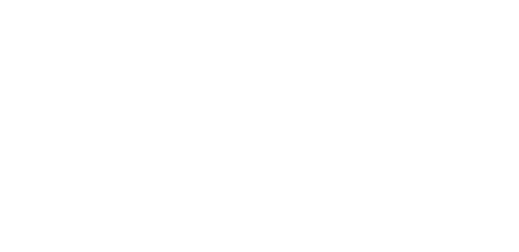 Ruocco's