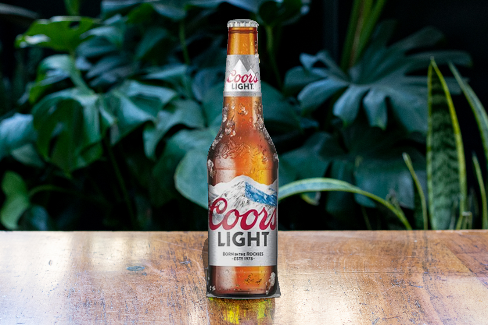Coors Light - Dumpling Time - Asian Restaurant in CA