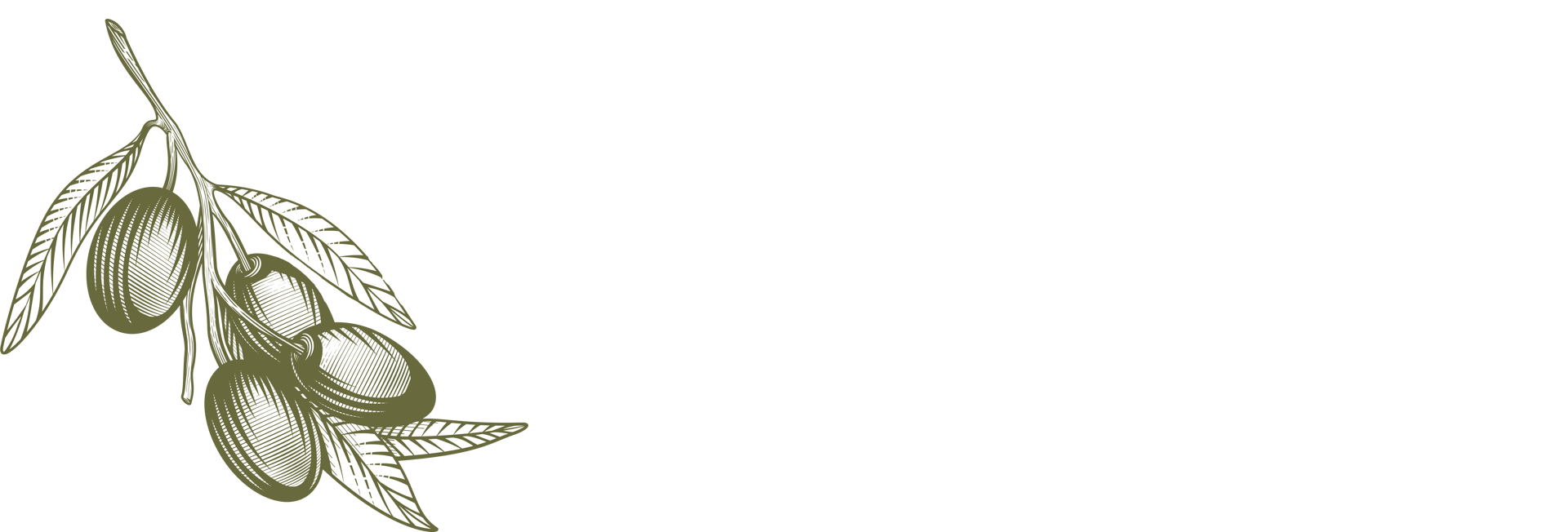 habibs white logo