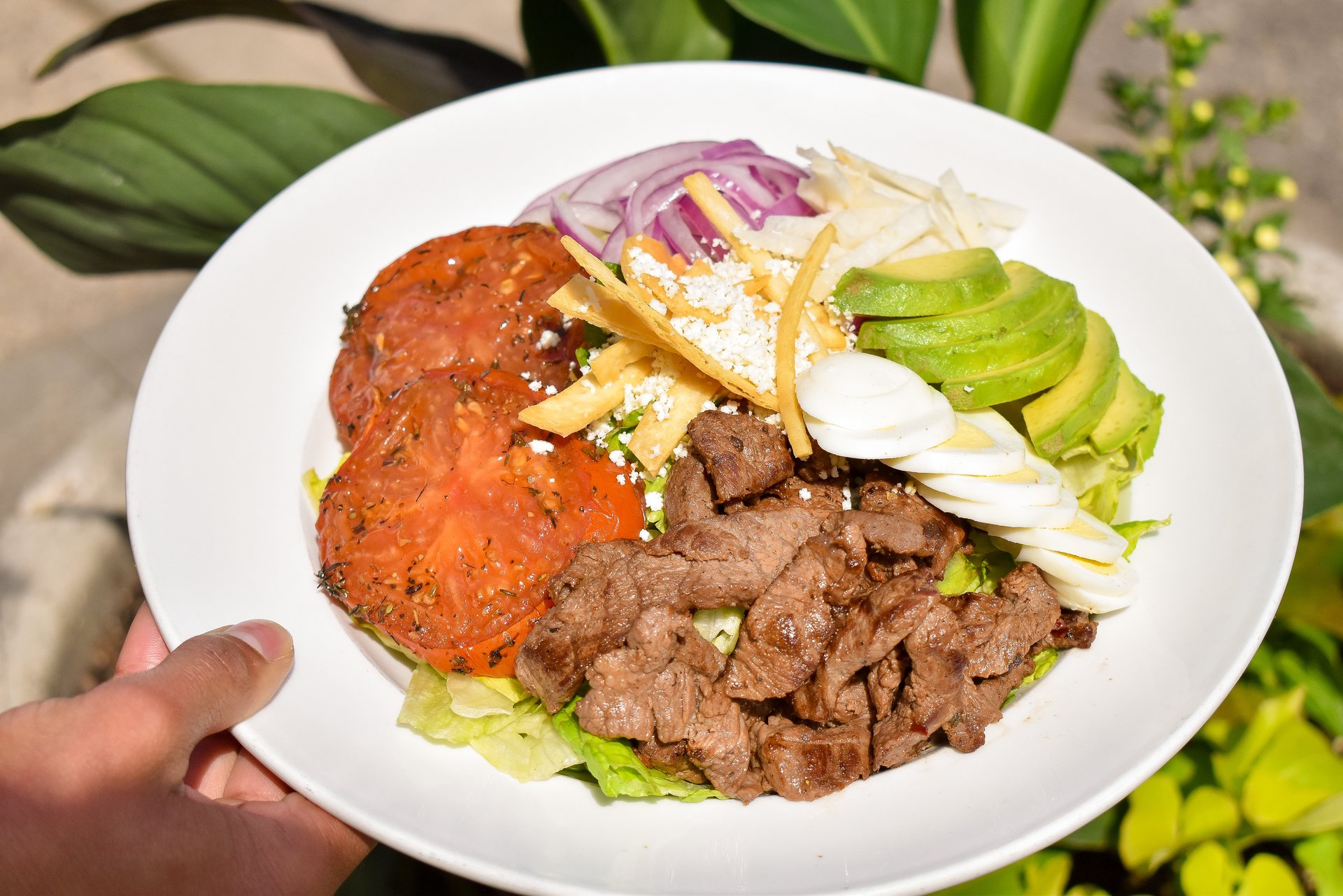 Steak Salad - Lunch & Dinner Menu - Lago Tacos