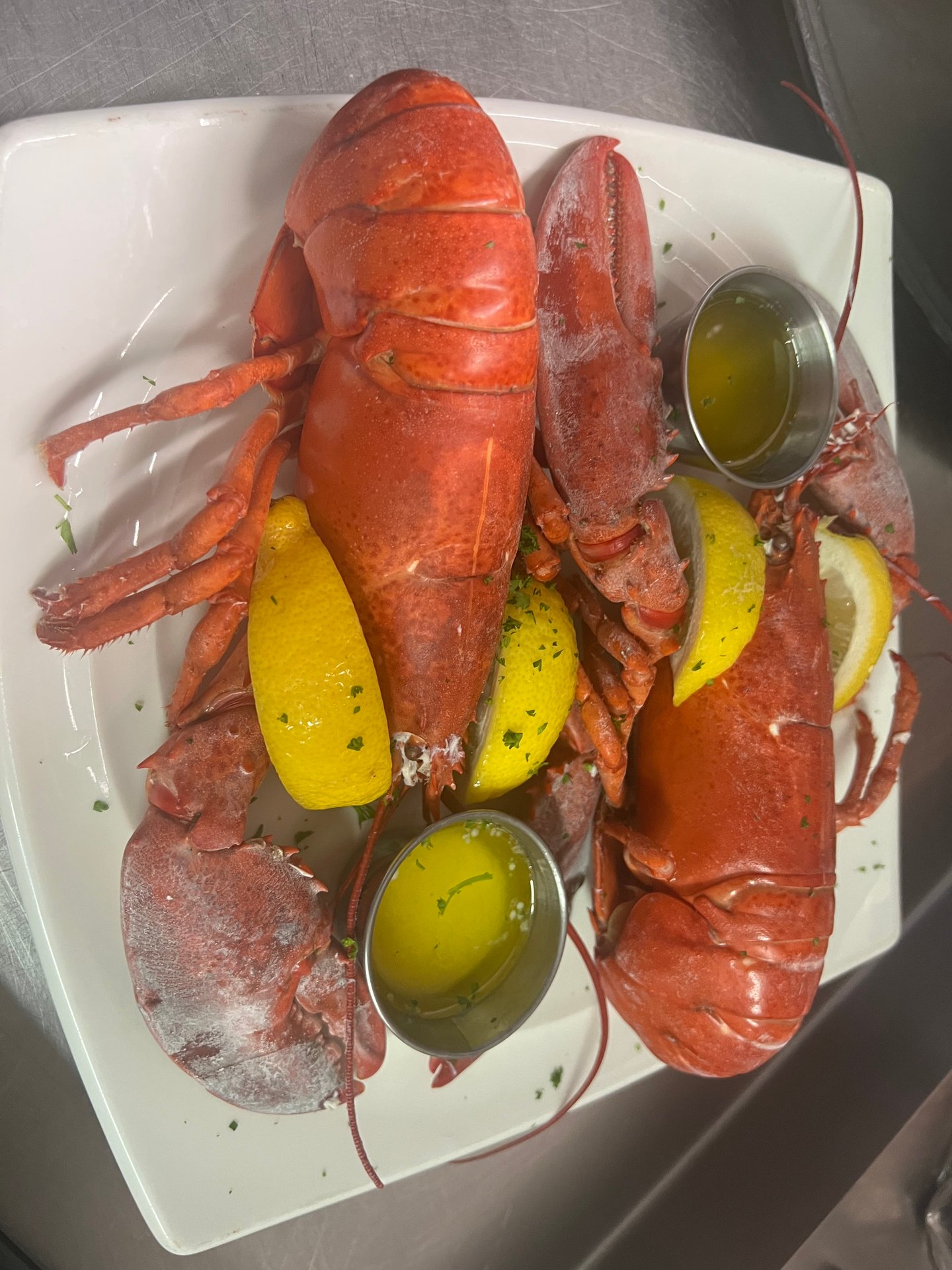 Twin Lobster in the Rough - Sea Ketch Restaurant - American