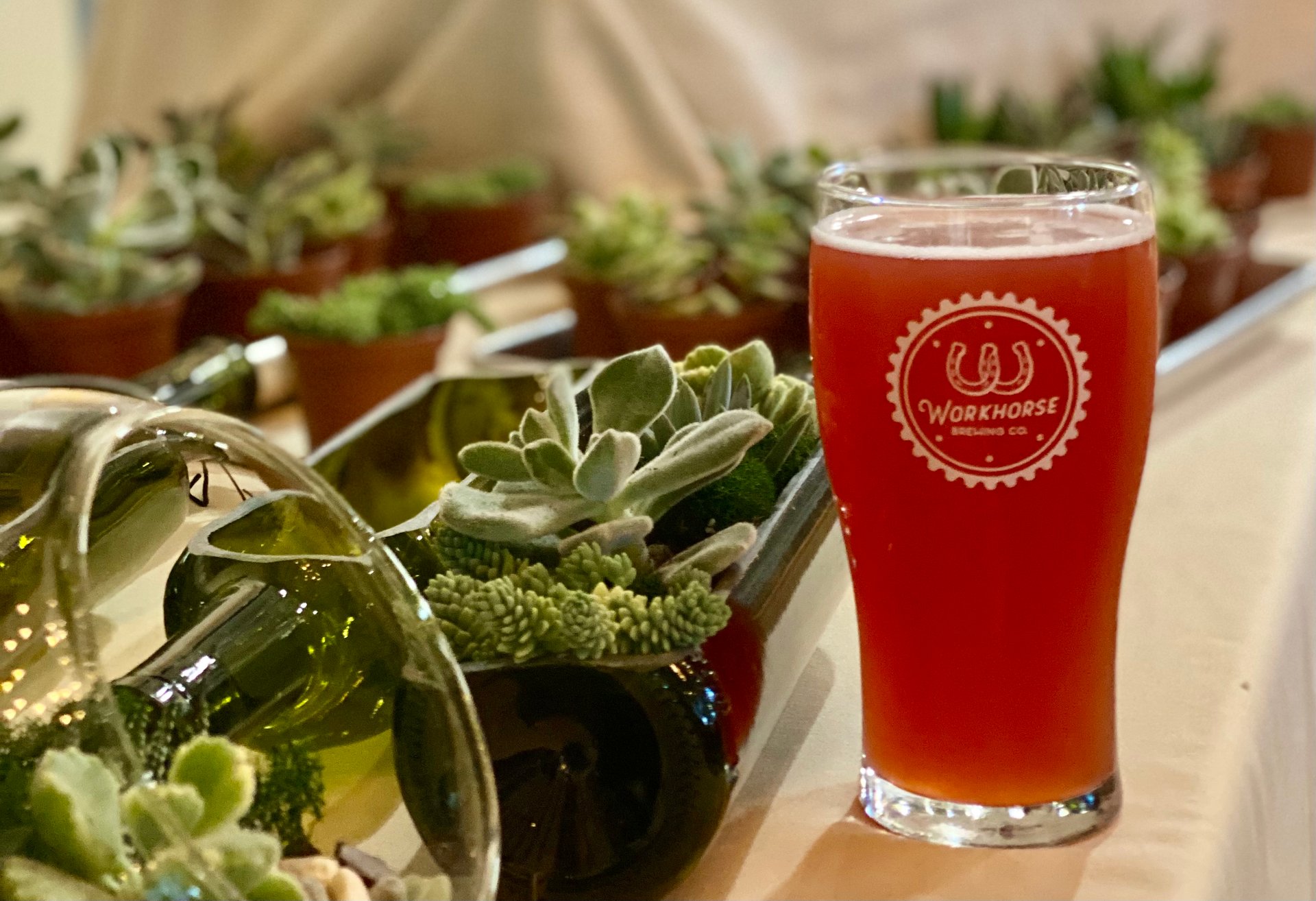 Terrarium Therapy Plant Bar Workhorse Brewing Company