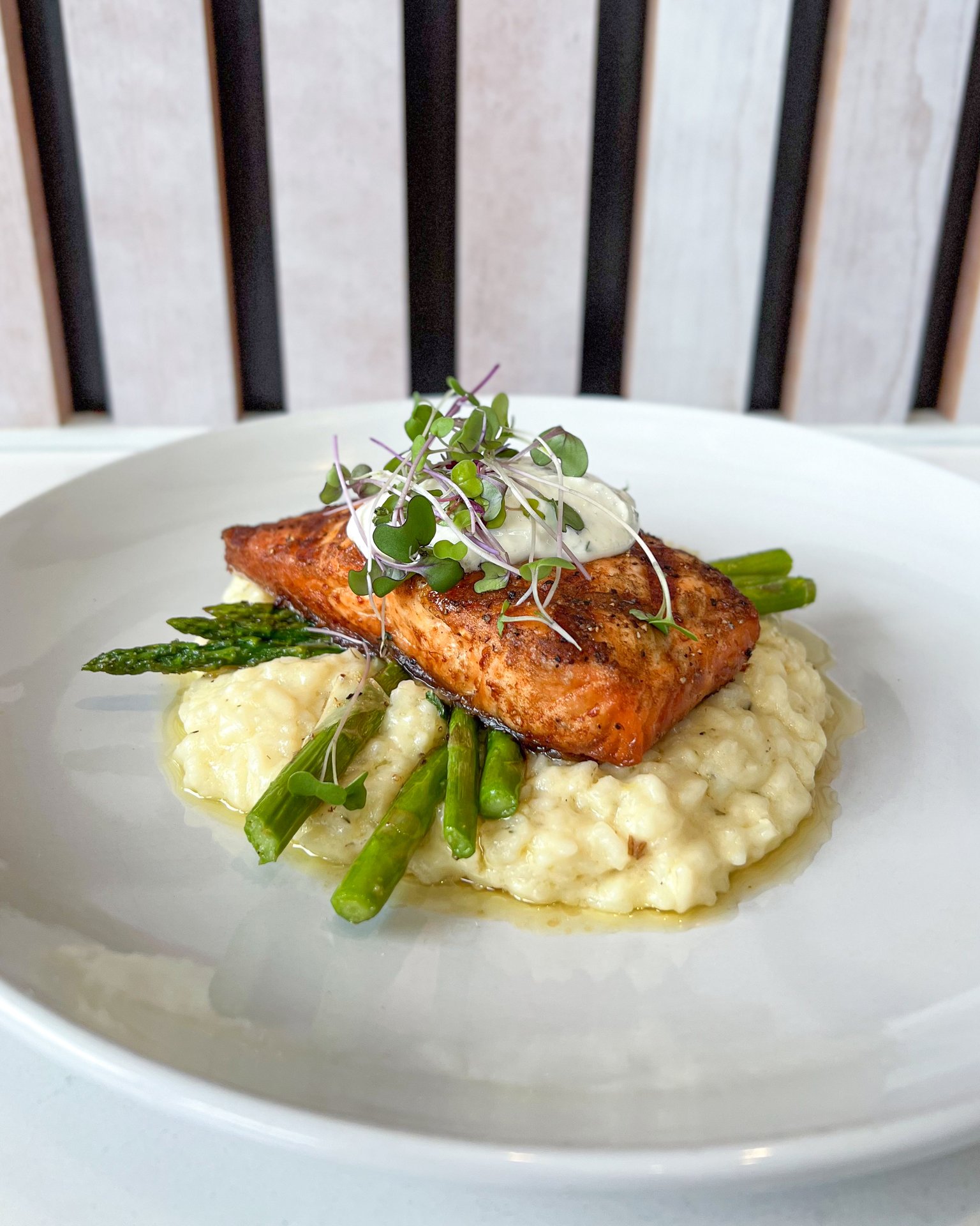 Salmon recipe served on a plate, by Bella Ciao Salmon recipe served on a plate, by Bella Ciao
