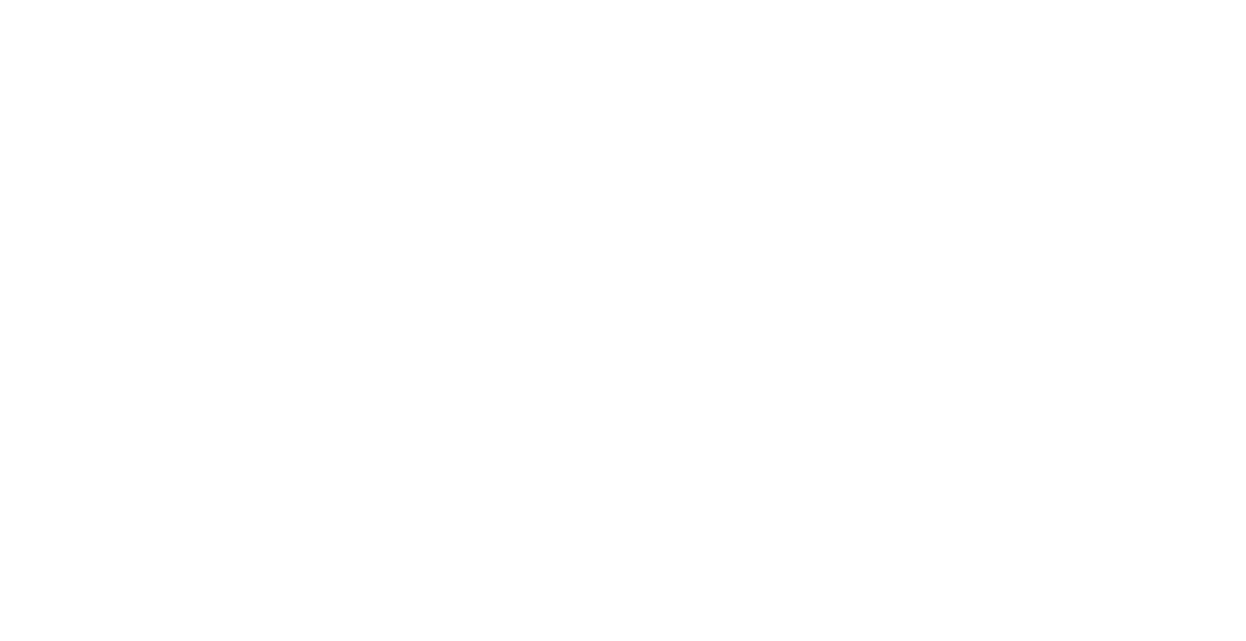 The Dutchie